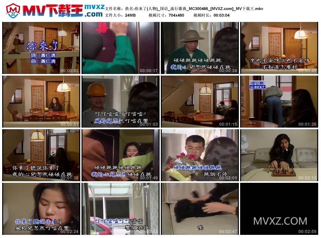 佚名-你来了(人物)_国语_流行歌曲_MC300486